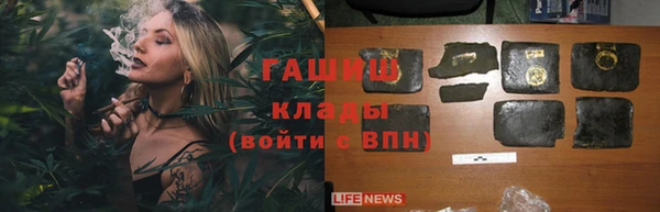 шишки Аркадак