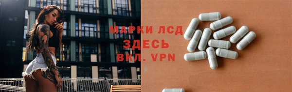 шишки Аркадак