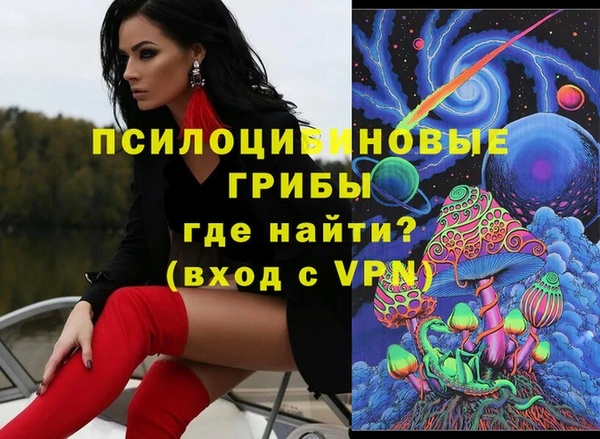 шишки Аркадак