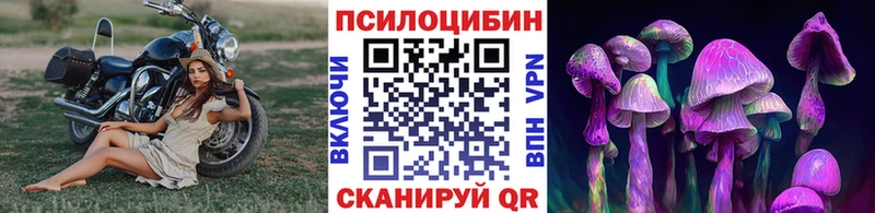 Псилоцибиновые грибы Psilocybe  что такое наркотик  Сураж 